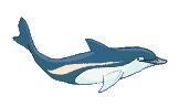 dolphin imifanekiso-ebonakalayo-i-gif